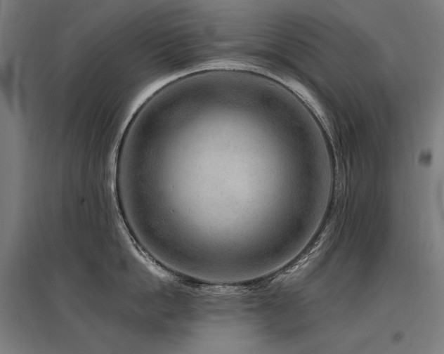 X0000096170862200801181248