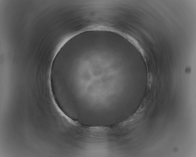 X0000096170863200801181248