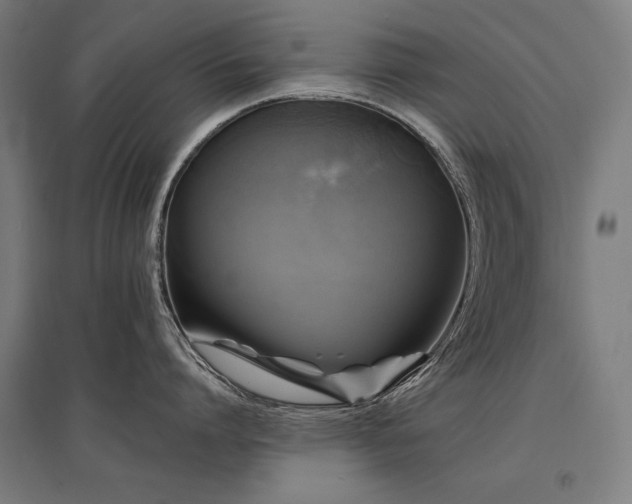 X0000096170864200801181248