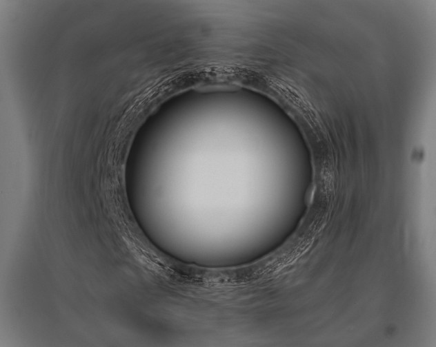 X0000096170865200801181247