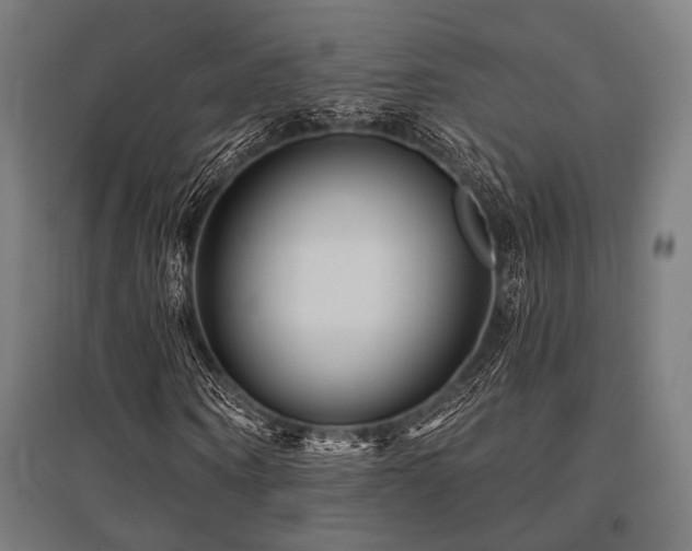 X0000096170866200801181247