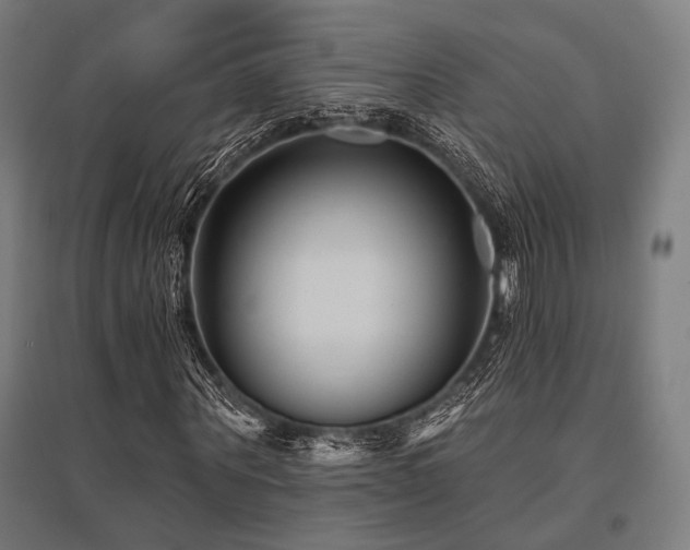 X0000096170867200801181247