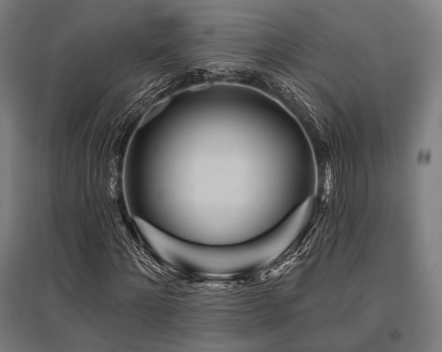 X0000096170868200801181247