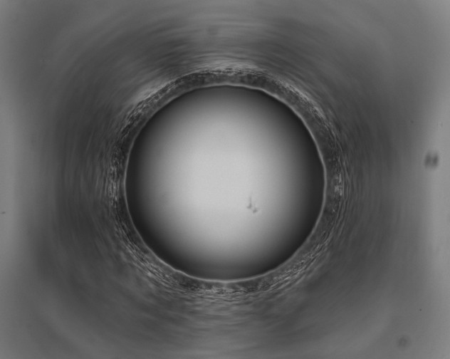 X0000096170869200801181247