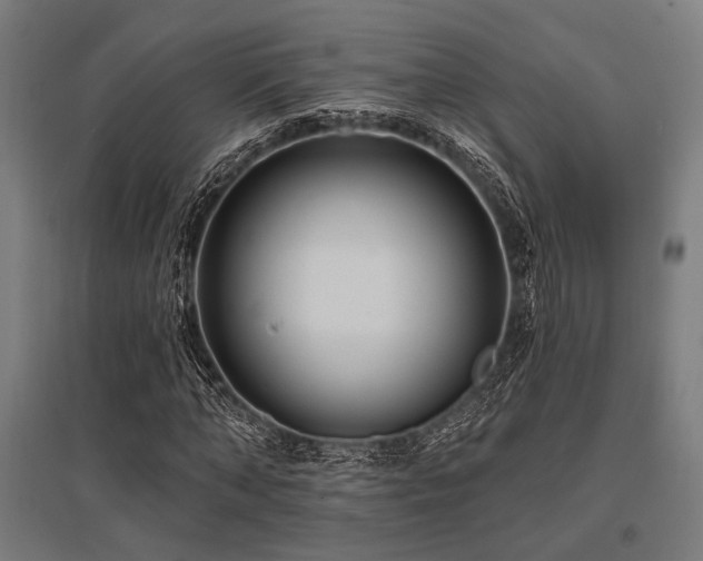 X0000096170870200801181247