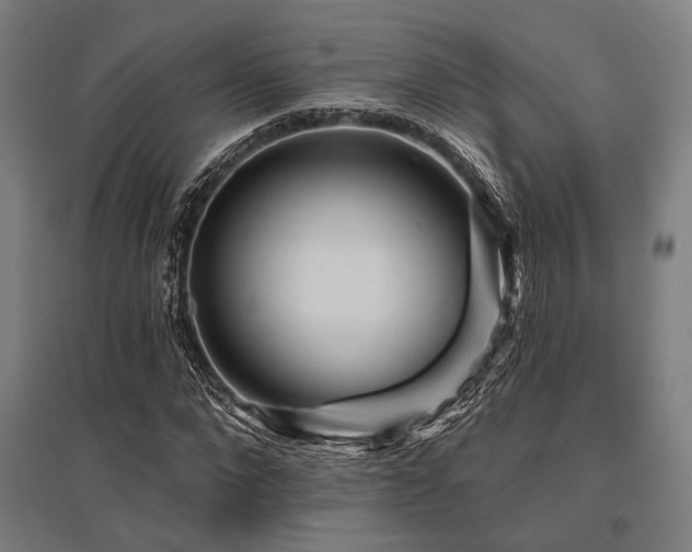X0000096170872200801181247