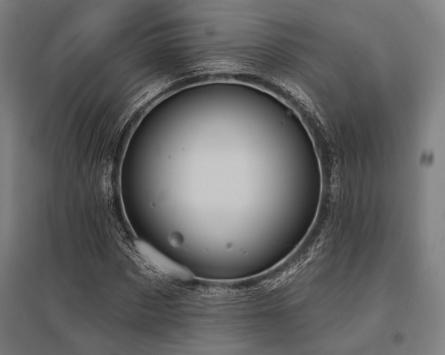 X0000096170873200801181247