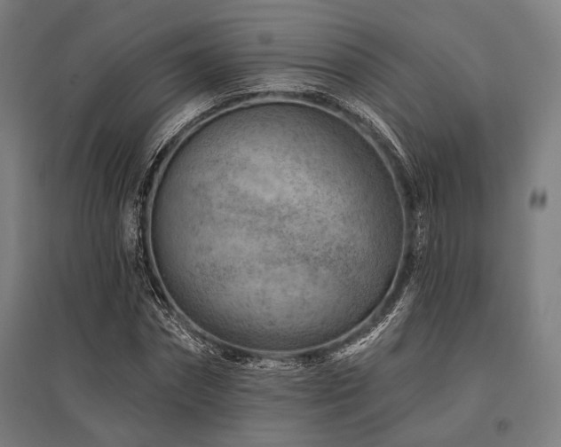 X0000096170874200801181247