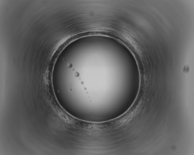 X0000096170875200801181247