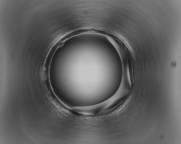 X0000096170876200801181247