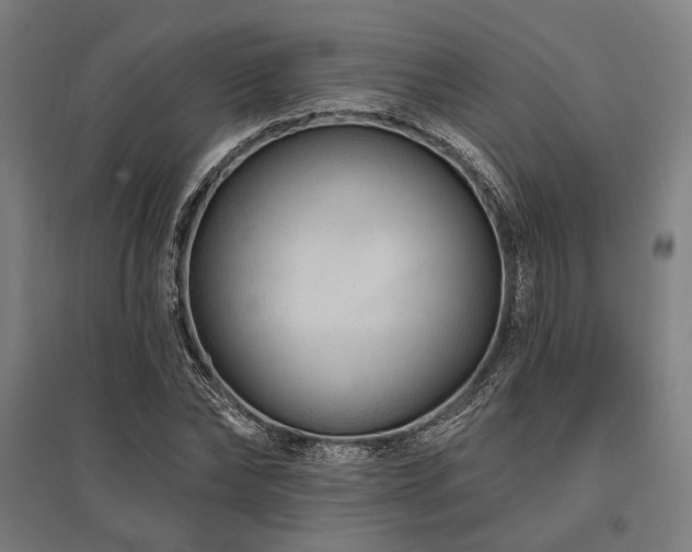 X0000096170878200801181247