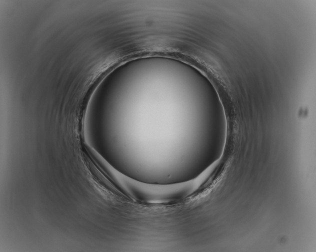 X0000096170881200801181247
