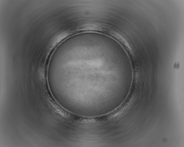 X0000096170882200801181247
