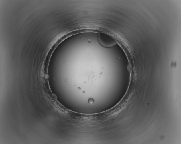 X0000096170883200801181247