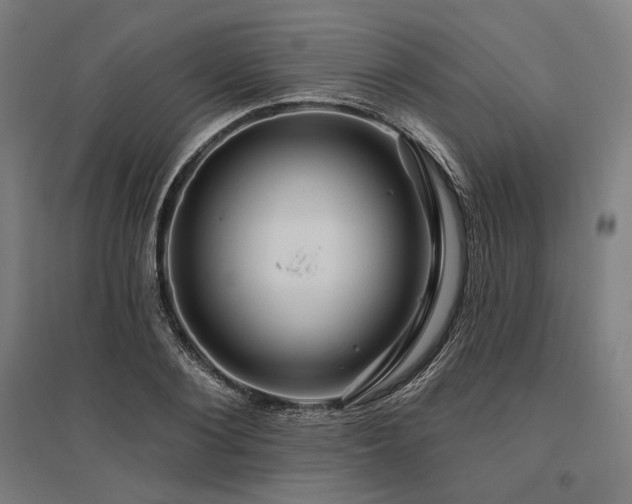X0000096170884200801181247