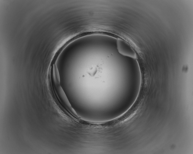 X0000096170885200801181247