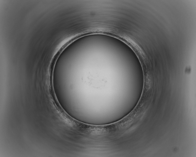 X0000096170886200801181247