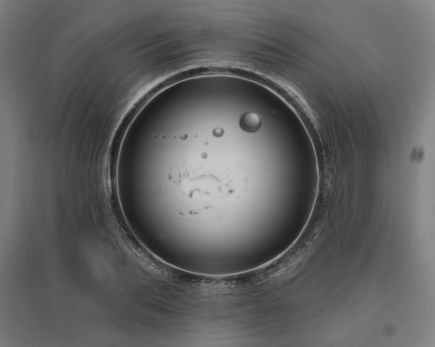 X0000096170887200801181247