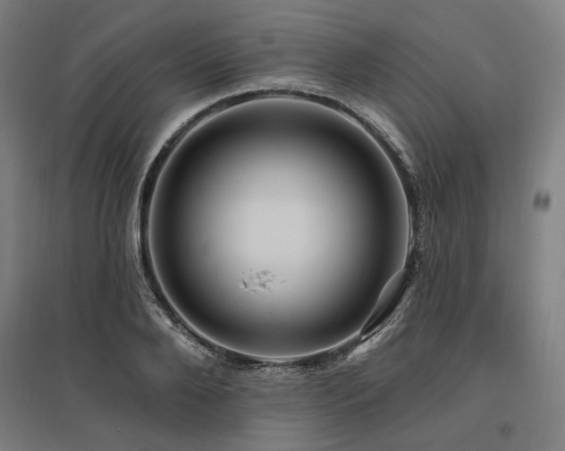 X0000096170888200801181247