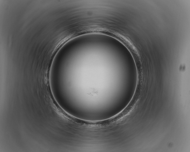 X0000096170889200801181247