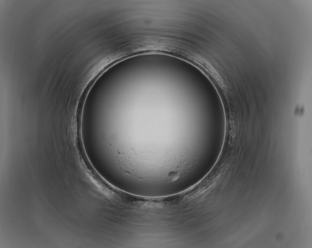 X0000096170890200801181247