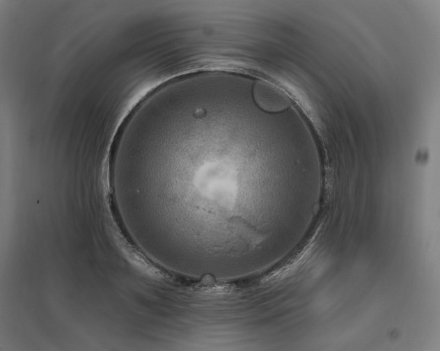 X0000096170891200801181247