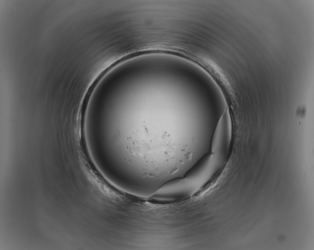 X0000096170892200801181247