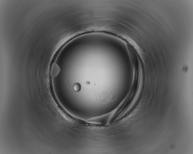 X0000096170894200801181247