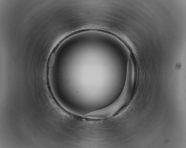 X0000096170896200801181247