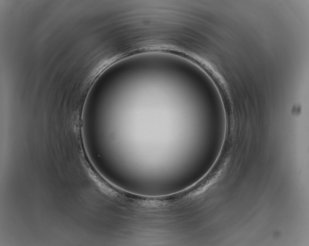X0000096170897200801181247
