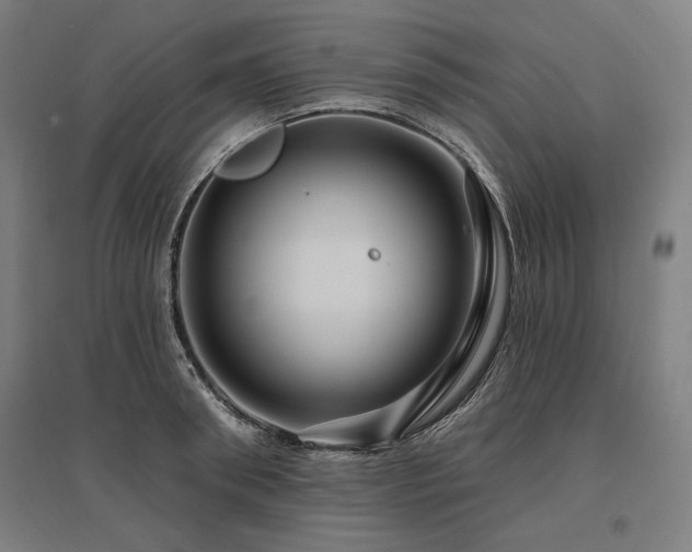 X0000096170898200801181247