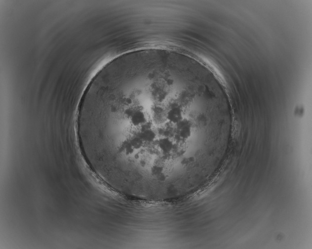 X0000096170899200801181247
