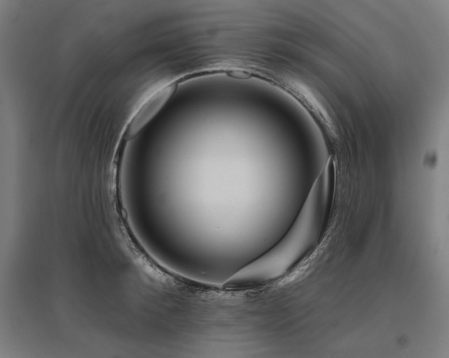 X0000096170900200801181247