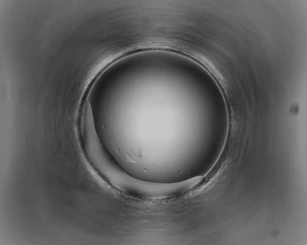 X0000096170901200801181247