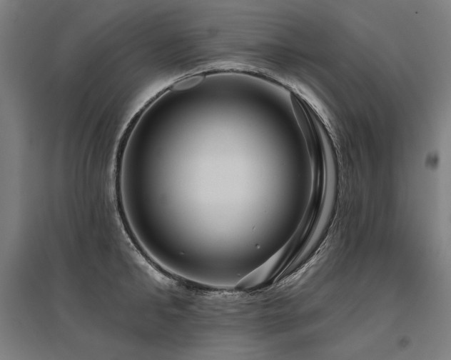 X0000096170902200801181247