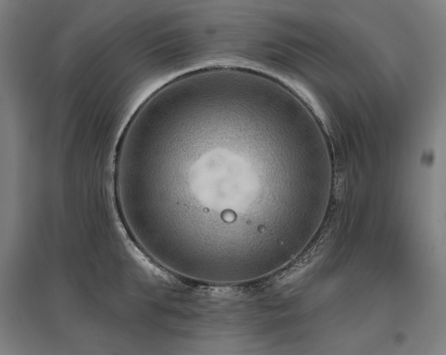 X0000096170903200801181247