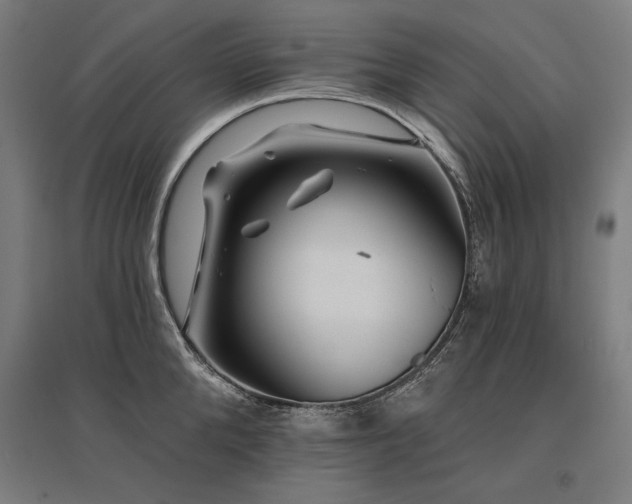 X0000096170904200801181247