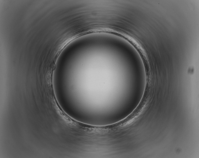 X0000096170905200801181247