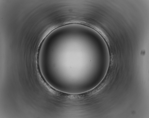 X0000096170906200801181247