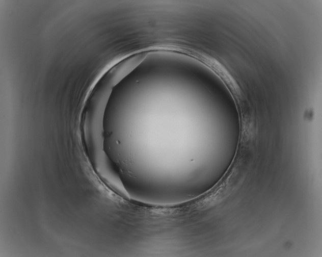 X0000096170908200801181247