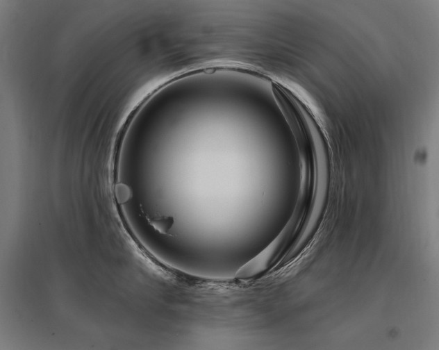 X0000096170910200801181247