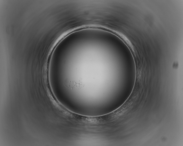 X0000096170911200801181247