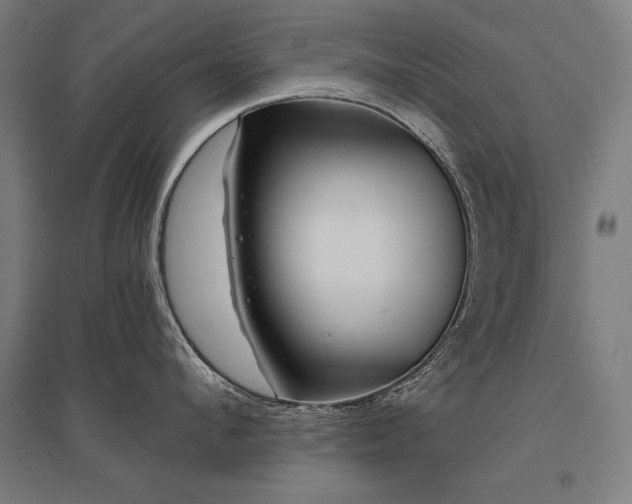 X0000096170912200801181247
