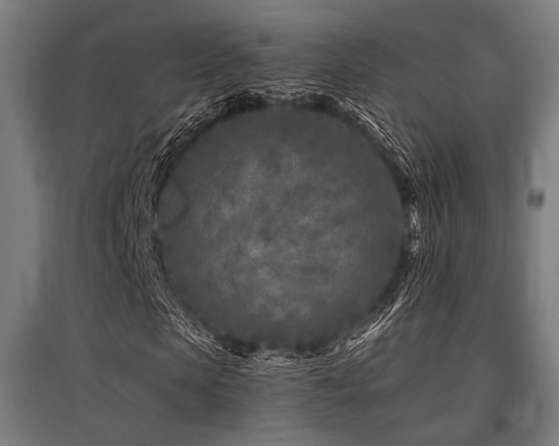 X0000096170913200801181246