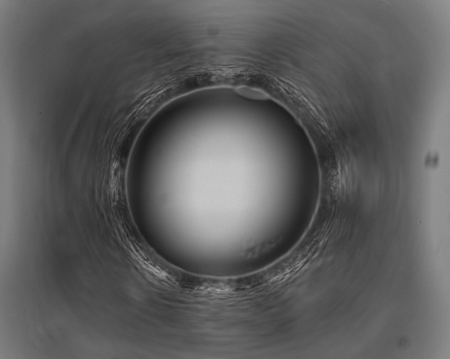 X0000096170914200801181246