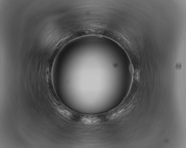 X0000096170915200801181246