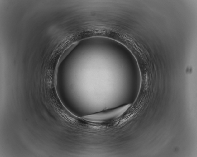 X0000096170916200801181246