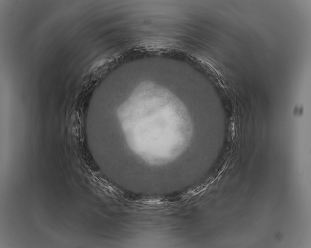 X0000096170917200801181246