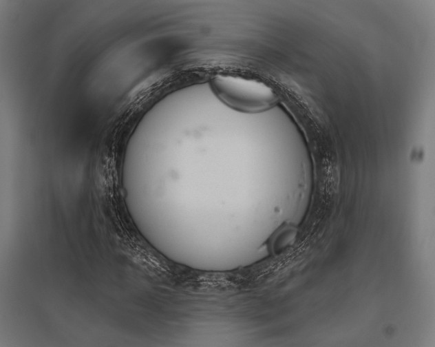 X0000096170918200801181246
