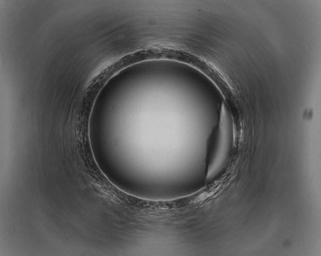 X0000096170919200801181246